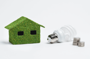 energy-savings-green-house-light-bulb-coins