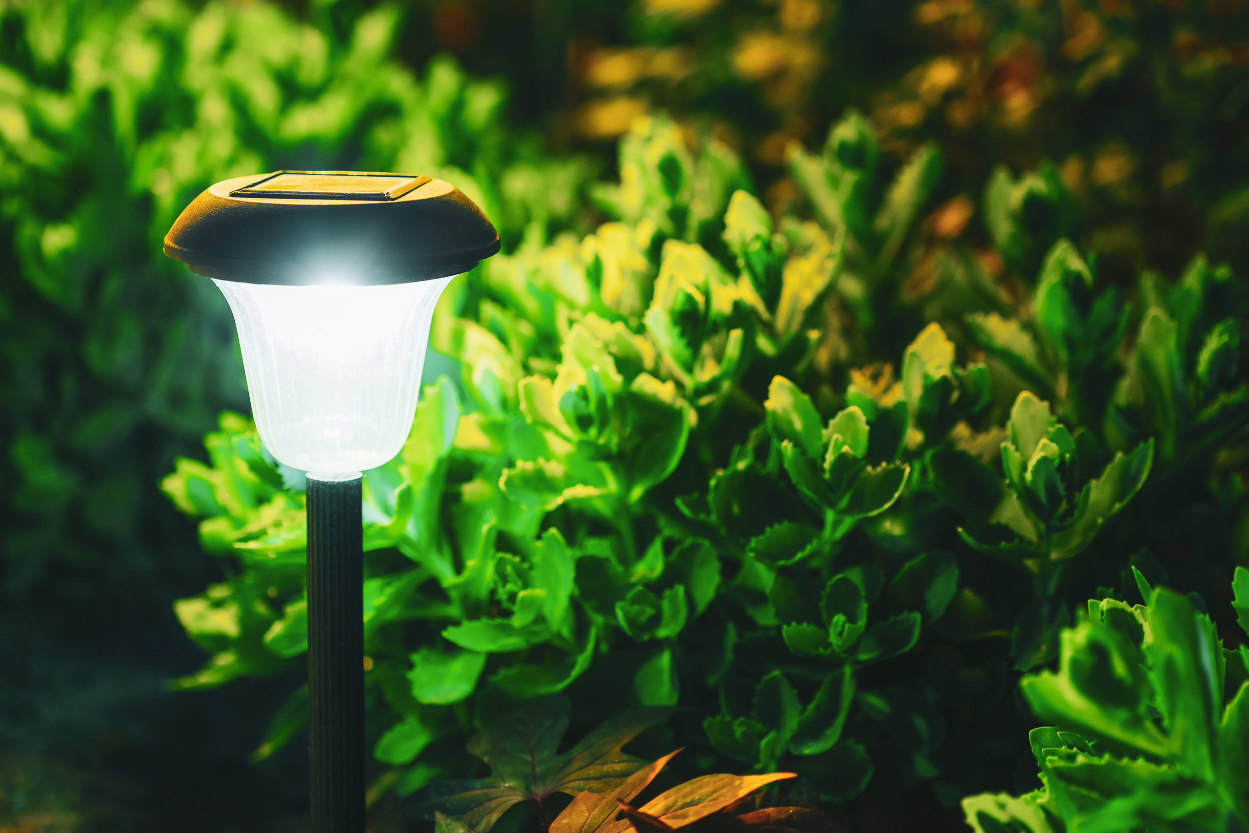 Small Garden Light