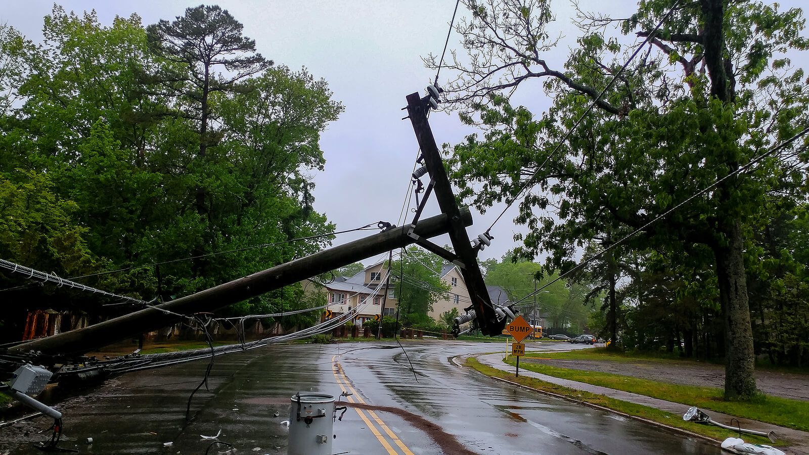 Safety Guide in event of Downed Power Line